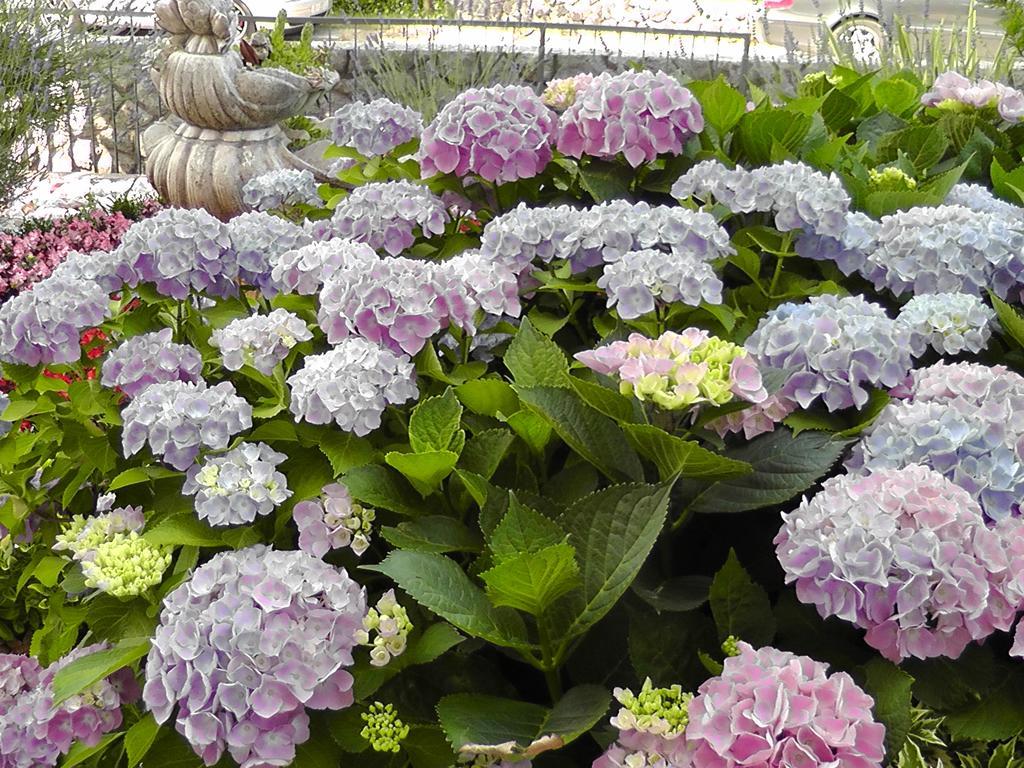 נייביצה Lavanda 3 מראה חיצוני תמונה